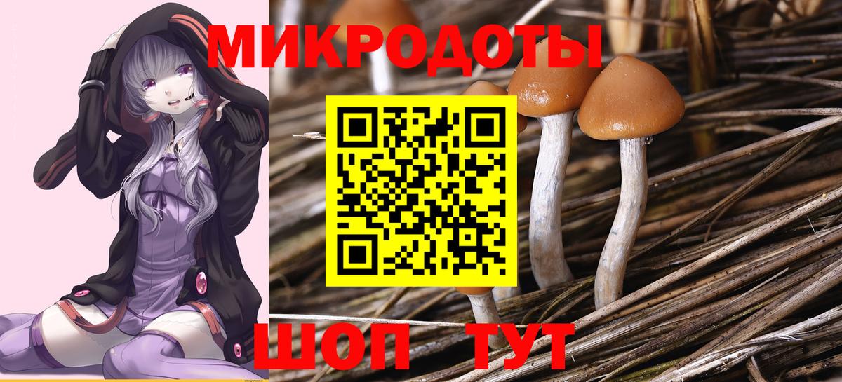 Галлюциногенные грибы Magic Shrooms Богданович